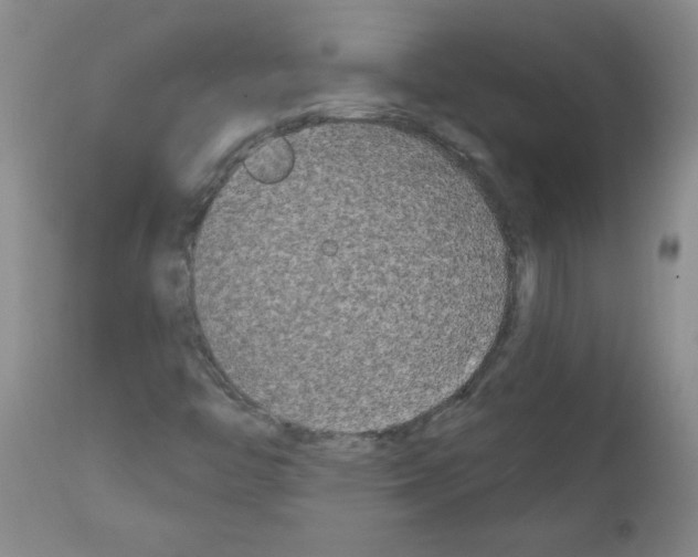 X0000111671446200908281059