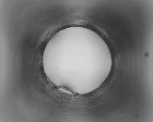 X0000111671447200908281059