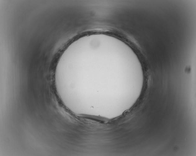 X0000111671448200908281059