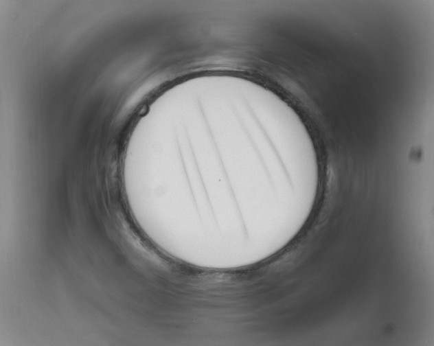 X0000111671450200908281059