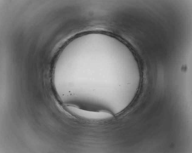 X0000111671452200908281059