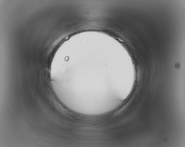 X0000111671453200908281059