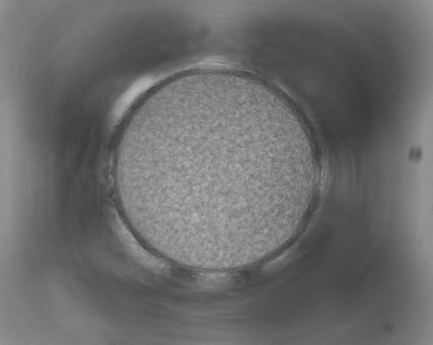 X0000111671454200908281059