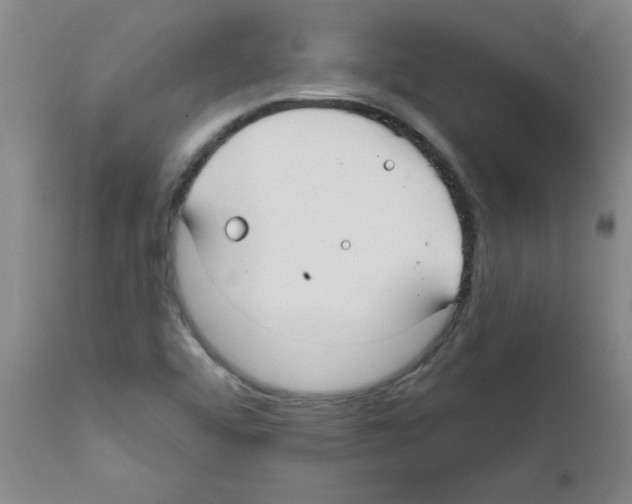 X0000111671456200908281059