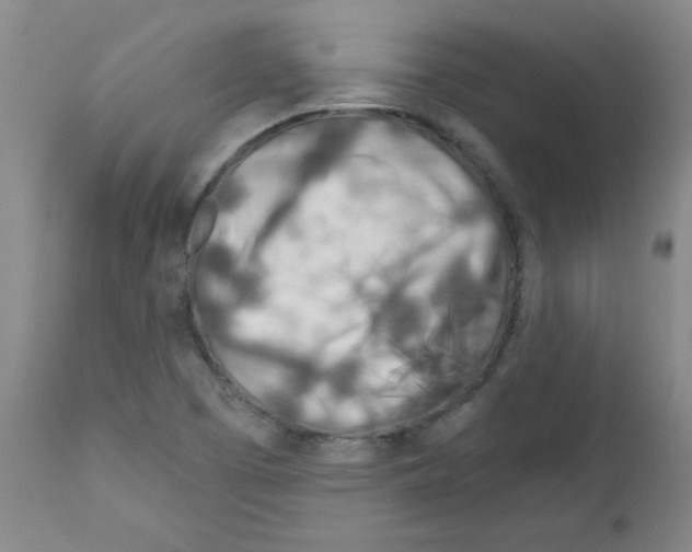 X0000111671457200908281059