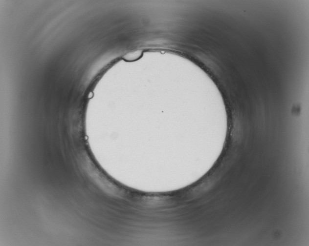 X0000111671458200908281059