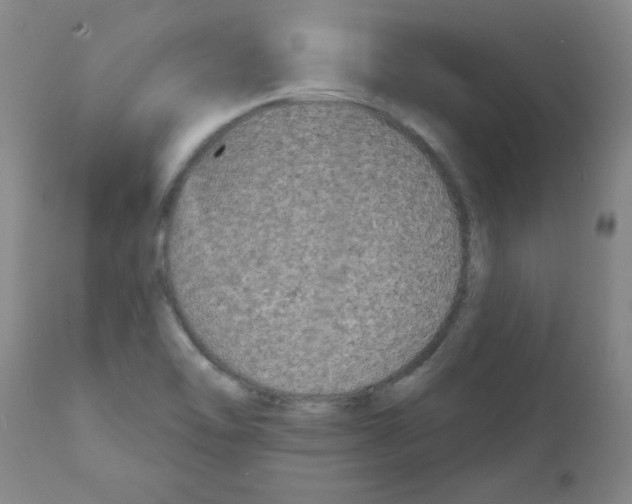 X0000111671462200908281059