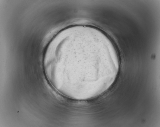 X0000111671464200908281059