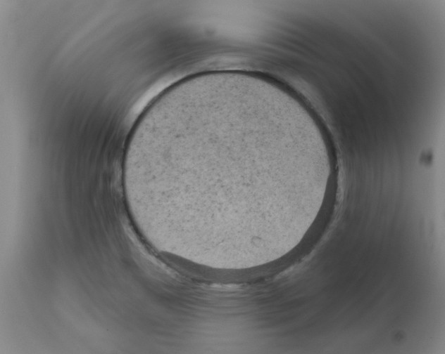 X0000111671465200908281059