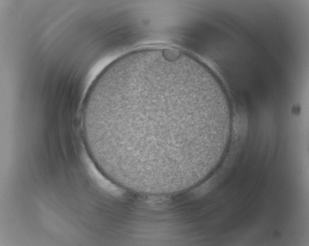 X0000111671466200908281059