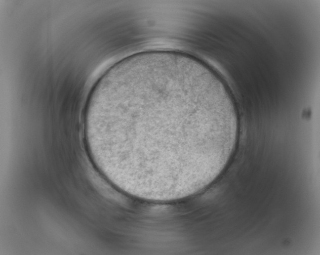 X0000111671467200908281059