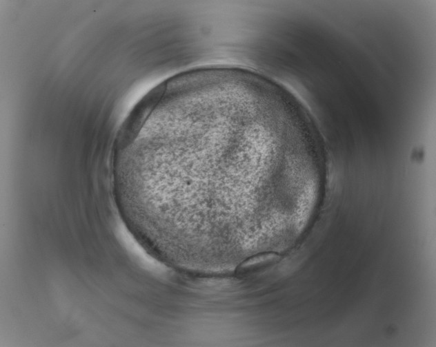 X0000111671468200908281059