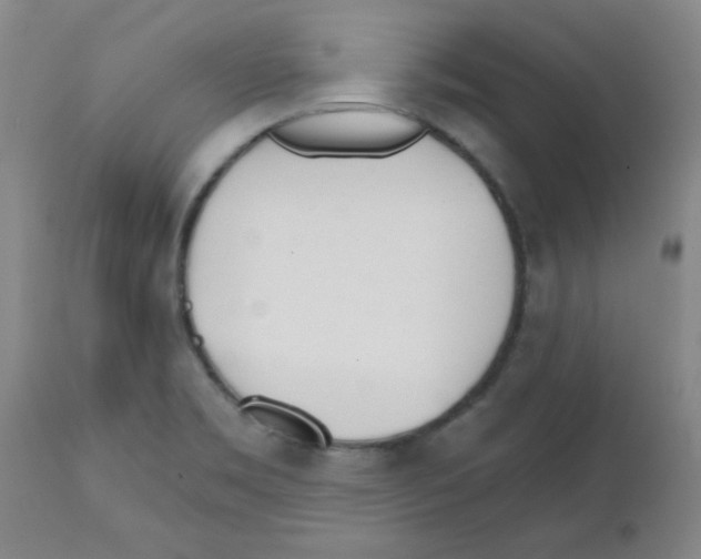 X0000111671469200908281059