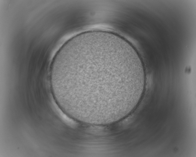 X0000111671470200908281059