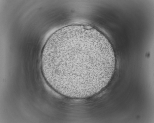 X0000111671471200908281059