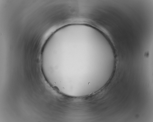 X0000111671472200908281059