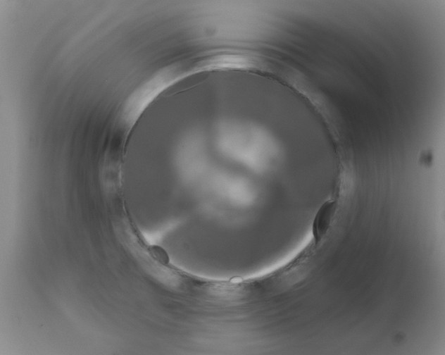 X0000111671473200908281059