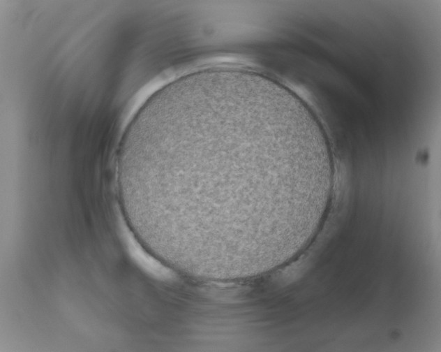 X0000111671474200908281059