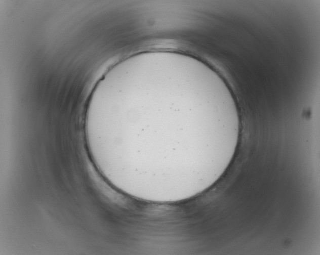 X0000111671475200908281059