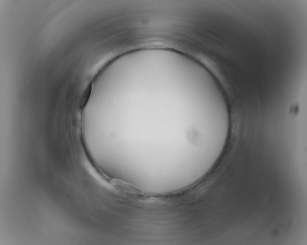 X0000111671476200908281059