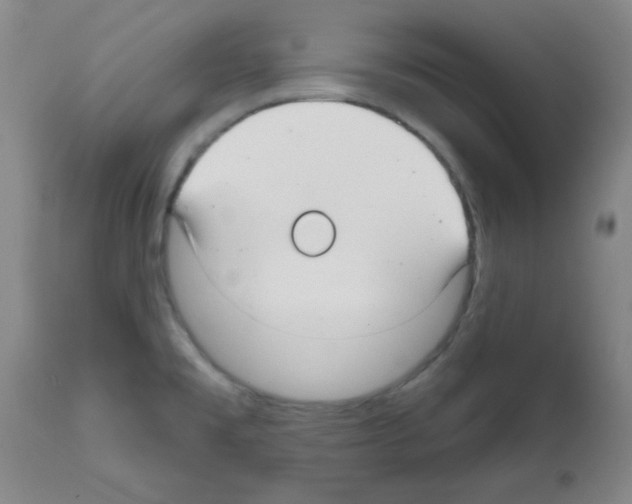 X0000111671477200908281059