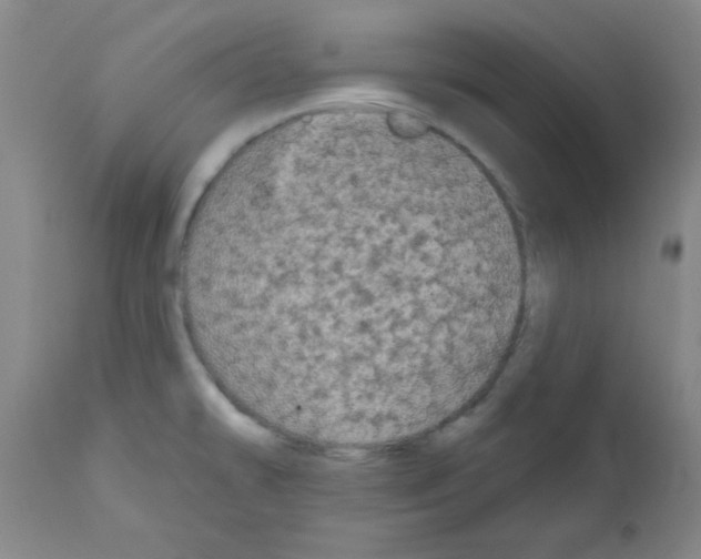 X0000111671478200908281059