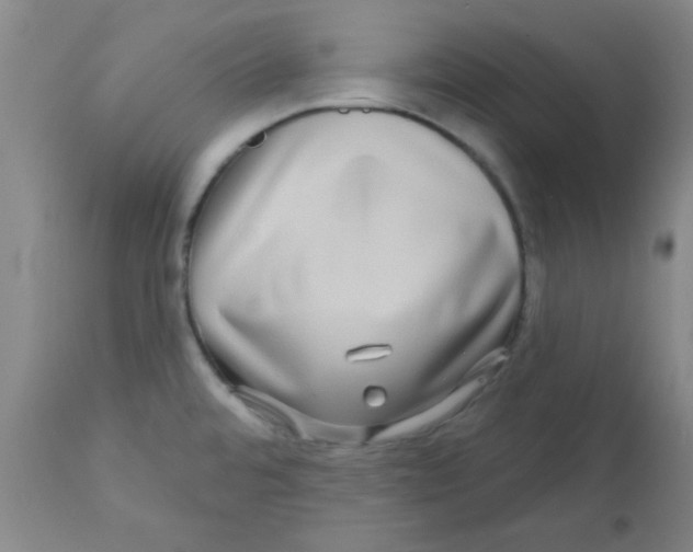 X0000111671480200908281059