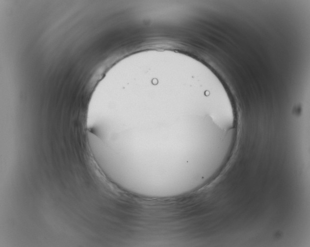 X0000111671481200908281059