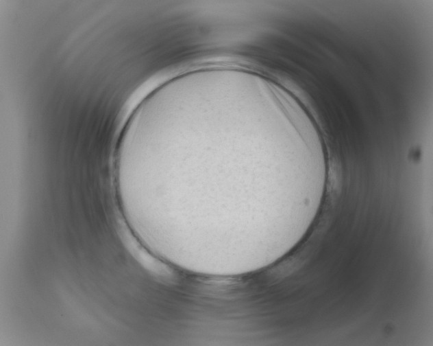 X0000111671482200908281059