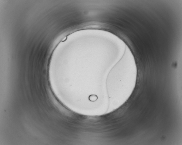 X0000111671483200908281059