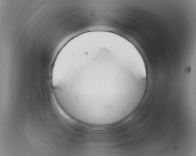 X0000111671484200908281059