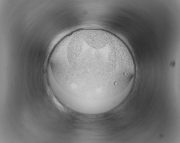 X0000111671485200908281059