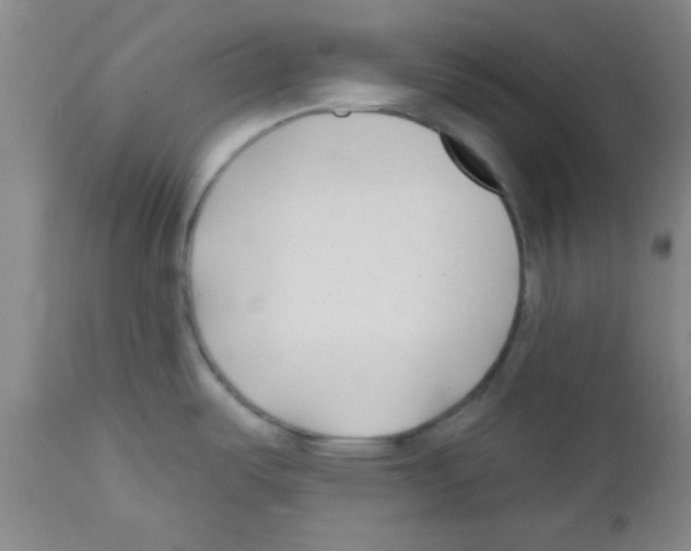 X0000111671487200908281059