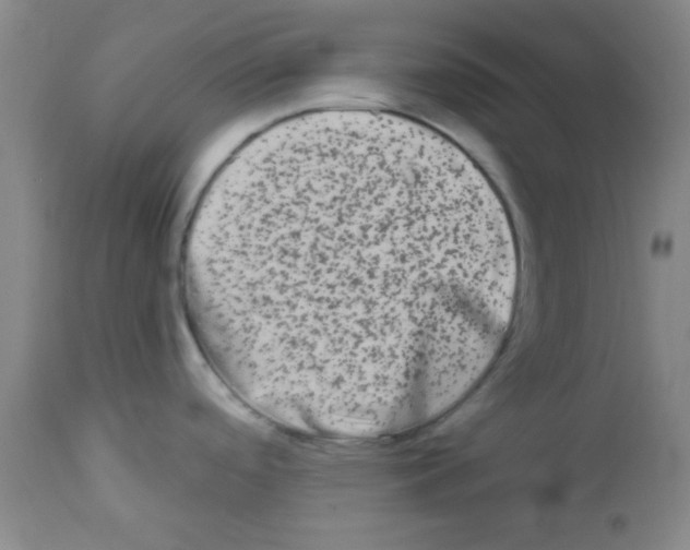 X0000111671488200908281059