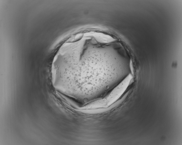 X0000111671496200908281058