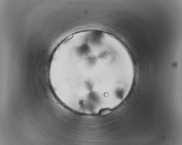 X0000111671500200908281058