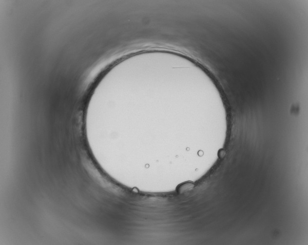 X0000111671503200908281058