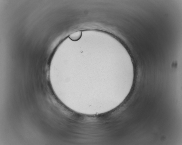 X0000111671509200908281058