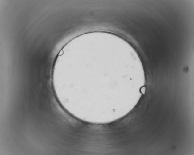 X0000111671512200908281058