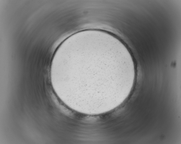 X0000111671513200908281058