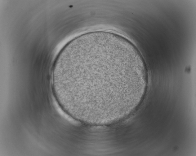 X0000111671515200908281058