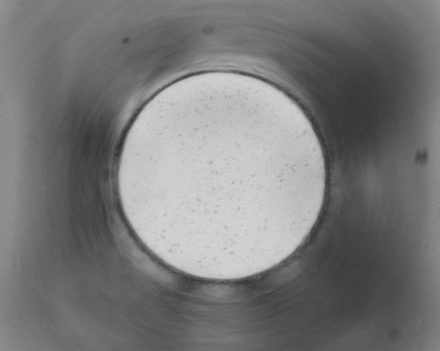 X0000111671517200908281058