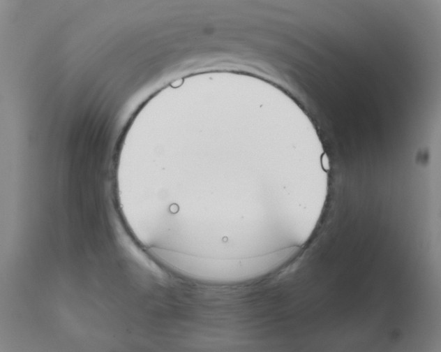 X0000111671518200908281058