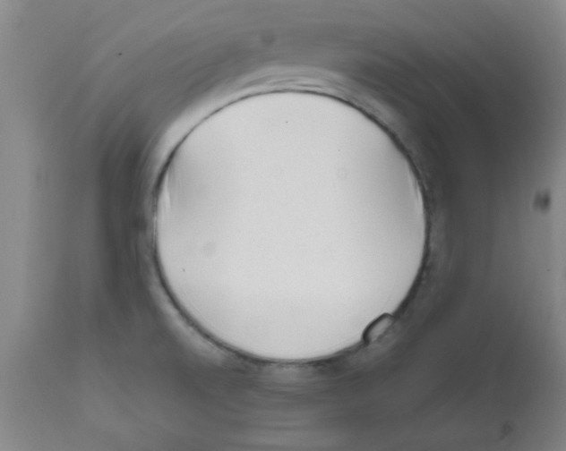 X0000111671520200908281058