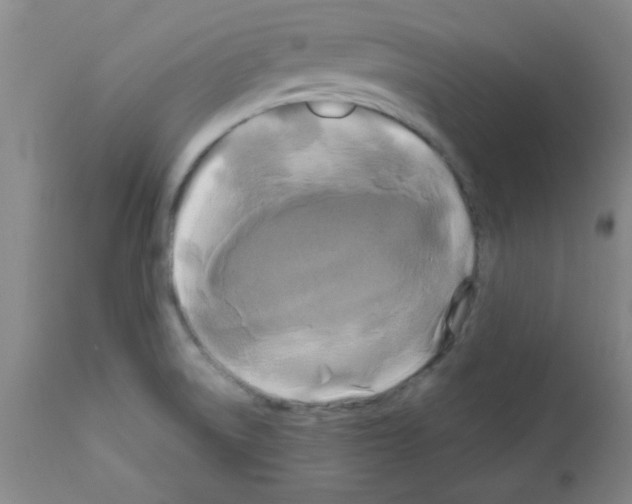 X0000111671522200908281059