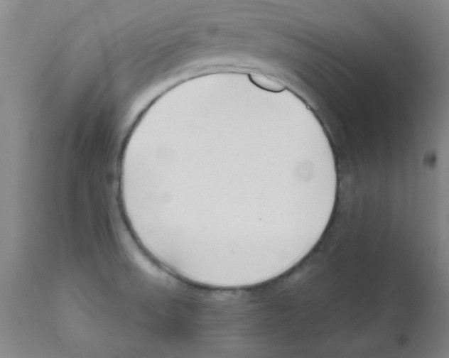 X0000111671523200908281059