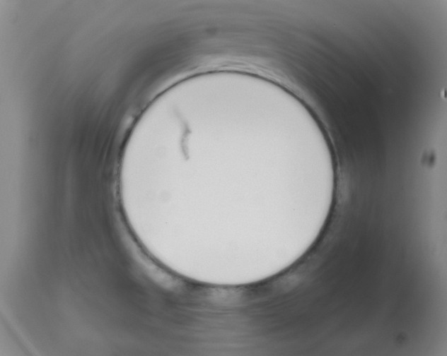 X0000111671525200908281059