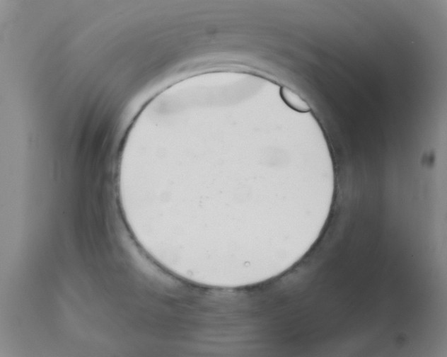 X0000111671526200908281059