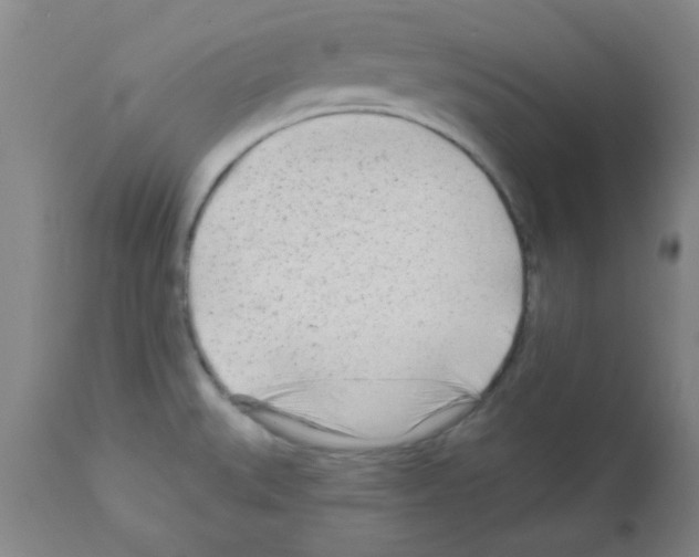 X0000111671527200908281059