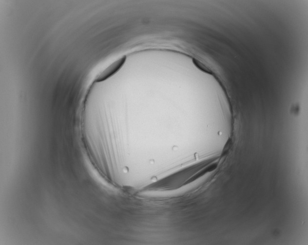 X0000111671528200908281059